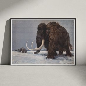 Mammut - Fortidsdyr 1935 - Videnskabelig tavle