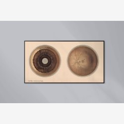 �jet - Frohses anatomiske tavler 1900