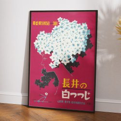Nagai i Blomst 1960 - Japansk rejseplakat