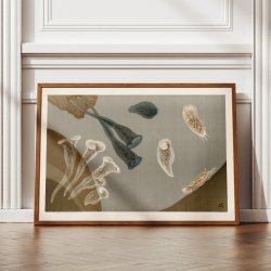 Infusionsdyr med fimreh�r 1910 - Mikroskopisk planche