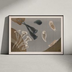 Infusionsdyr med fimreh�r 1910 - Mikroskopisk planche