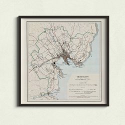 Thorshavn 1902 - Med omliggende Trer