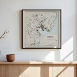 Thorshavn 1902 - Med omliggende Trer