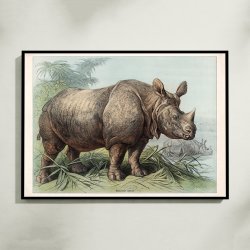 N�sehorn 1890 - Zoologisk planche