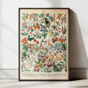 Blomster 1932 - Botanisk planche af Adolphe Millot