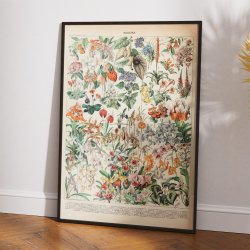 Blomster 1932 - Botanisk planche af Adolphe Millot