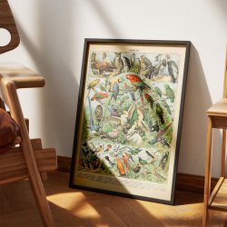 Fugle A 1932 - Adolphe Millot planche