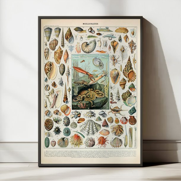 Bl�ddyr 1932 - Adolphe Millot planche