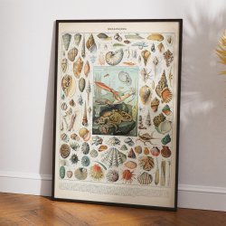 Bl�ddyr 1932 - Adolphe Millot planche