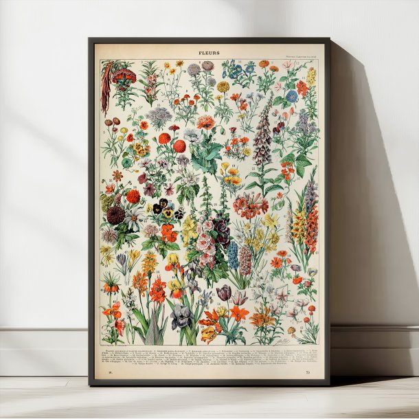 Blomster A 1932 - Adolphe Millot planche