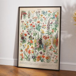 Blomster A 1932 - Adolphe Millot planche