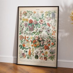 Blomster C 1932 - Adolphe Millot planche