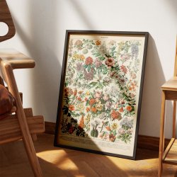 Blomster C 1932 - Adolphe Millot planche