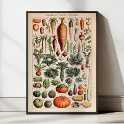 Gr�ntsager og nytteplanter 1932 - Adolphe Millot planche