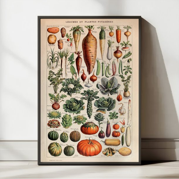 Gr�ntsager og nytteplanter 1932 - Adolphe Millot planche