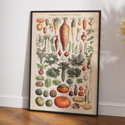 Gr�ntsager og nytteplanter 1932 - Adolphe Millot planche