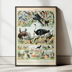 Fugle D 1932 - Adolphe Millot planche