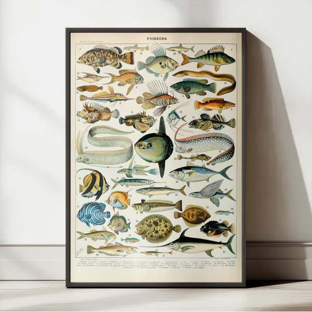 Fisk A 1932 - Adolphe Millot planche