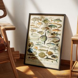 Fisk A 1932 - Adolphe Millot planche