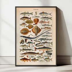 Fisk 1932 - Adolphe Millot planche