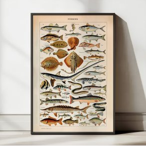 Fisk 1932 - Adolphe Millot planche