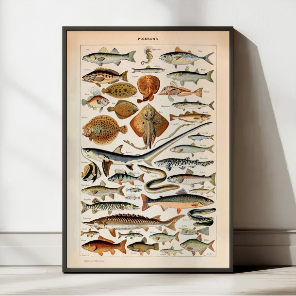 Fisk 1932 - Adolphe Millot planche