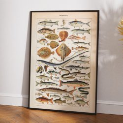 Fisk 1932 - Adolphe Millot planche