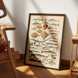 Fisk 1932 - Adolphe Millot planche