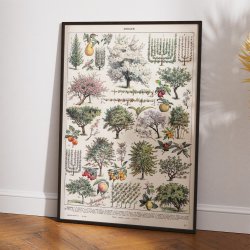 Frugthave og dyrkning 1932 - Videnskabelig planche