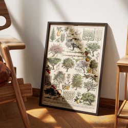 Frugthave og dyrkning 1932 - Videnskabelig planche