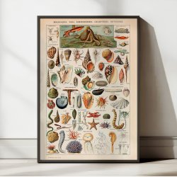 Bl�ddyr 1932 - Adolphe Millot planche