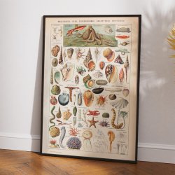 Bl�ddyr 1932 - Adolphe Millot planche