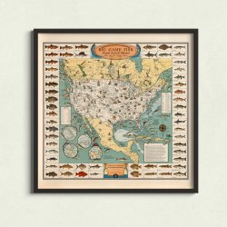 Storvildtfisk - Illustreret planche