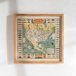 Storvildtfisk - Illustreret planche