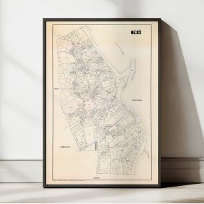 Nex� 1896 - Berggreens k�bstadskort