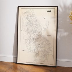 Nex� 1896 - Berggreens k�bstadskort