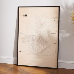 Ribe 1893 - Berggreens k�bstadskort