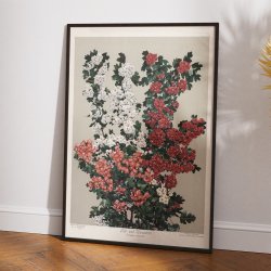 R�d- og hvidtj�rn 1910 - Botanisk planche