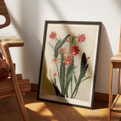 Ackermanns bladkaktus 1910 - Botanisk planche