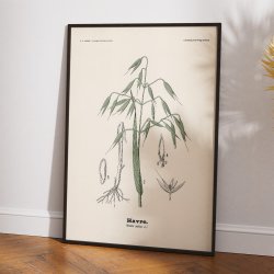 Havre 1899 - Botanisk planche