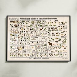 Skadedyr i landbrug 1910 - Zoologisk planche