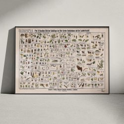 Skadedyr i landbrug 1910 - Zoologisk planche