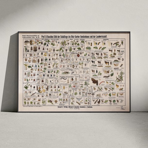 Skadedyr i landbrug 1910 - Zoologisk planche