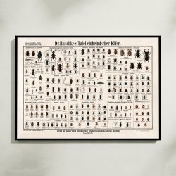 Biller 1910 - Zoologisk planche