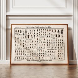 Biller 1910 - Zoologisk planche