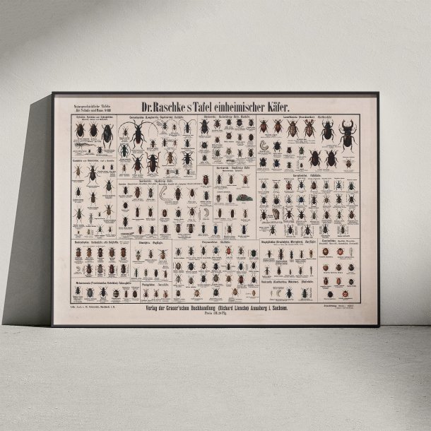 Biller 1910 - Zoologisk planche