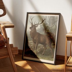 Svampe I 1910 - Botanisk planche