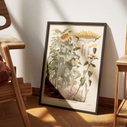 Svampe II 1910 - Botanisk planche