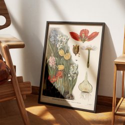 L�gv�kster 1910 - Botanisk planche