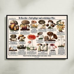 Giftige svampe 1909 - Botanisk planche